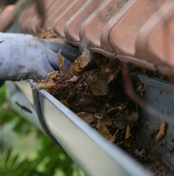 Guttering 2 e1783918129587