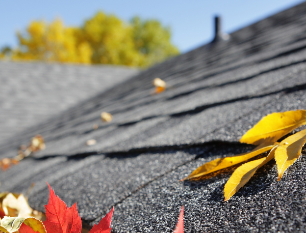 Guttering e1783918100876