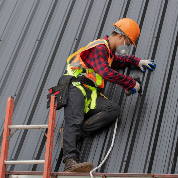 Newnan Roofers 3